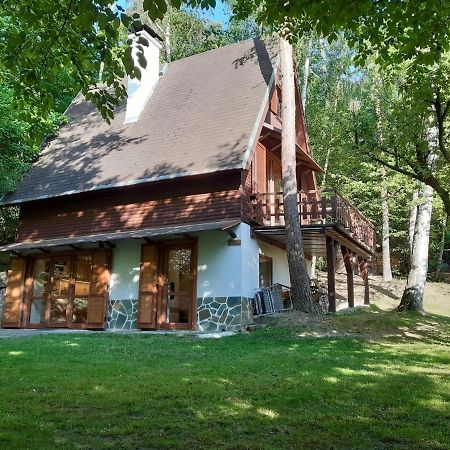 Holiday Home Zajicovi Rabyne Exterior photo